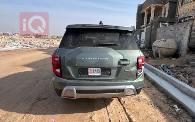 سانغ يونغ توريس